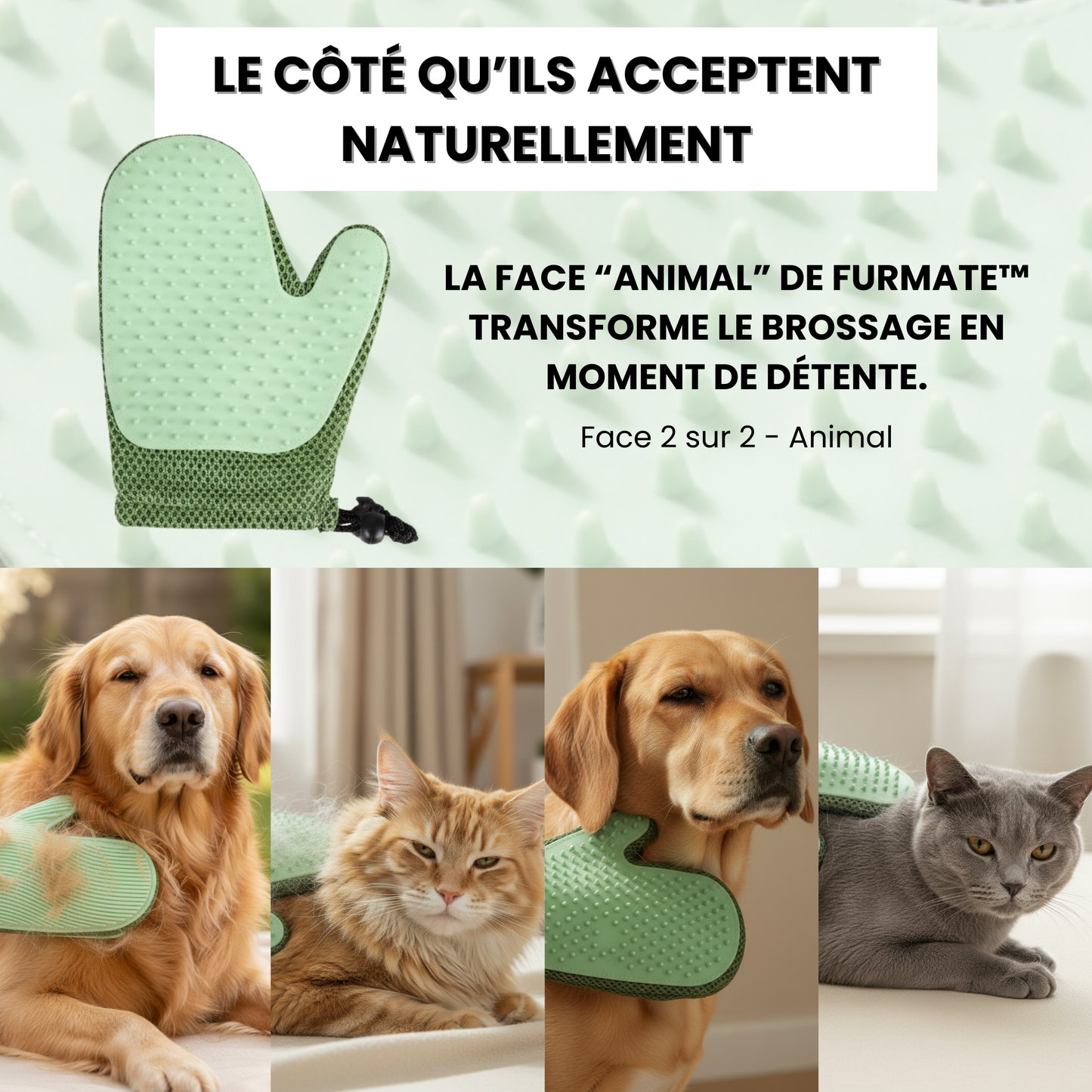 FurMate™ | Gant 2-en-1 Premium Anti-Poils