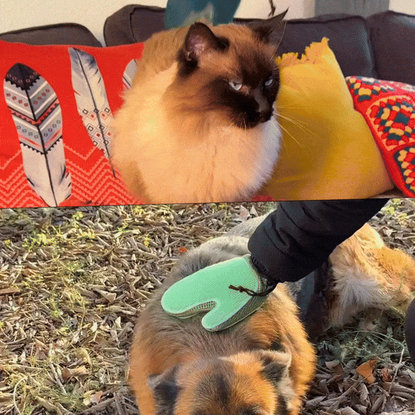 FurMate™ | Gant 2-en-1 Premium Anti-Poils