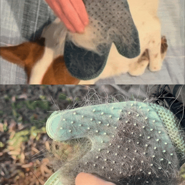 FurMate™ | Gant 2-en-1 Premium Anti-Poils